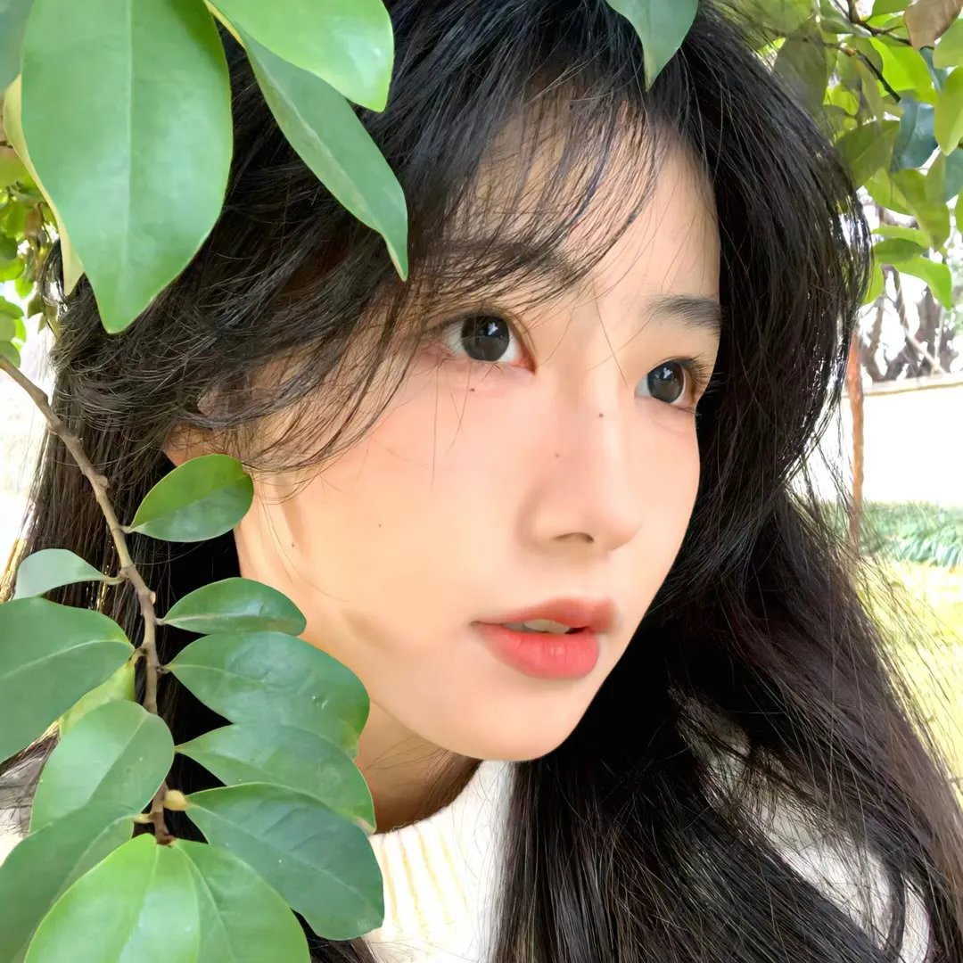 留夏