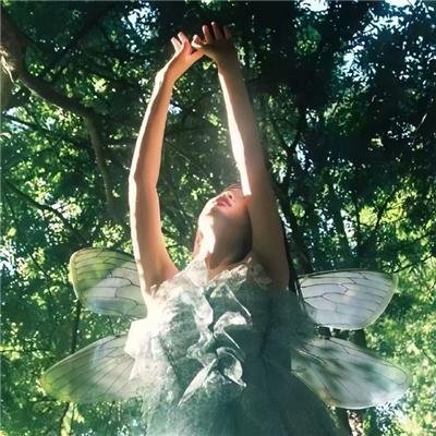 星卡梦少女1花语笔记